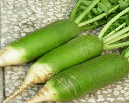 夏青55號,進(jìn)口葉面肥
