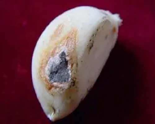 黑頭病,蔬菜沖施肥 黑頭病,蔬菜沖施肥