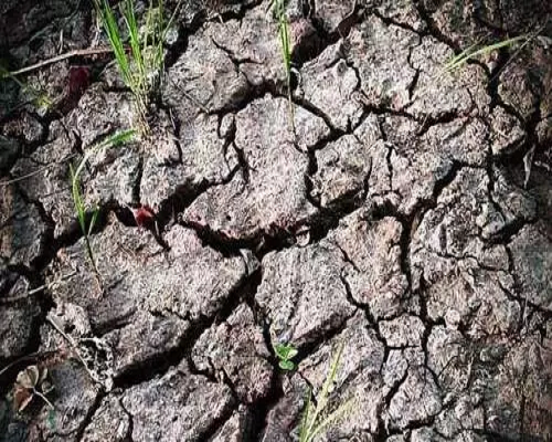 酸化土壤,中國十大名牌水溶肥 酸化土壤,中國十大名牌水溶肥