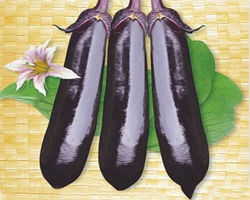 國茄1號(hào),氨基酸水溶肥